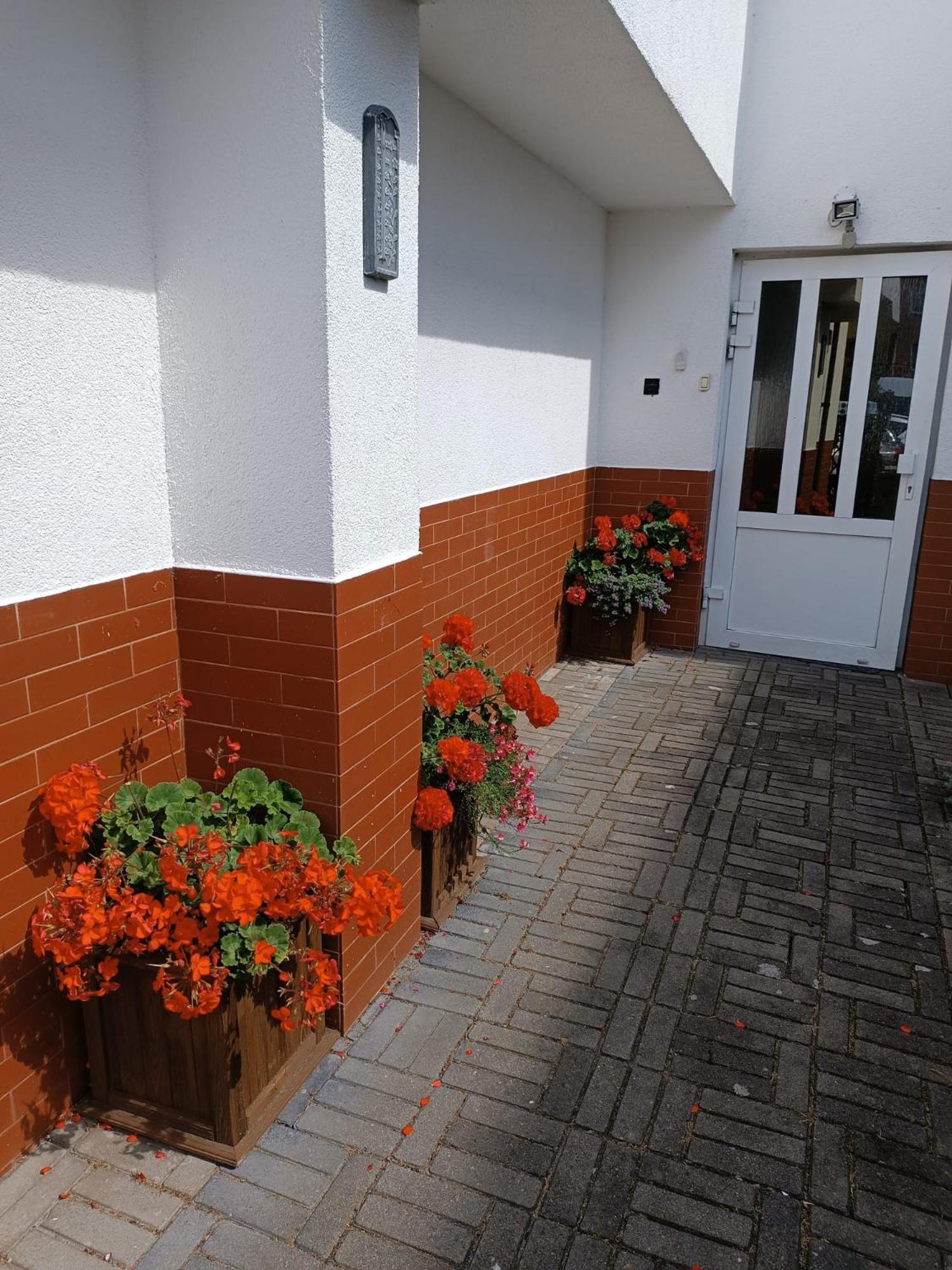 Marino Guest house *